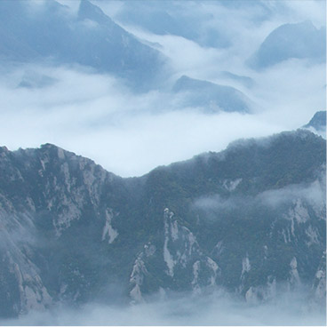 手机号轰在线轰炸